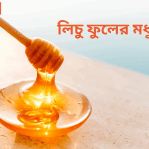 লিচু ফুলের মধু