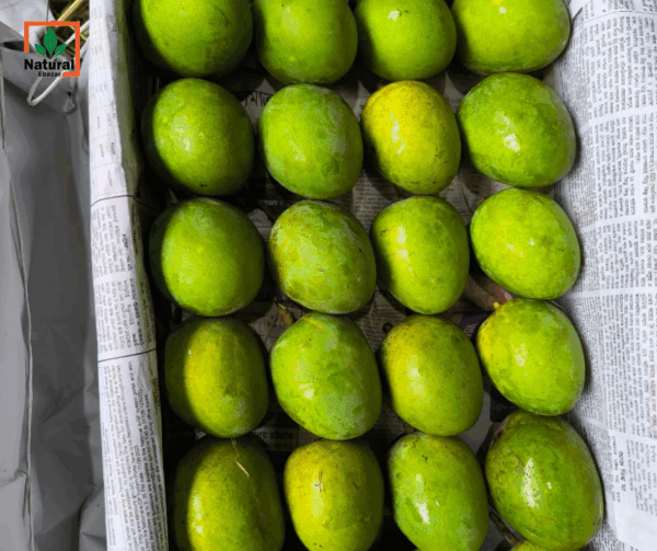 কাটিমন আম - Image 2