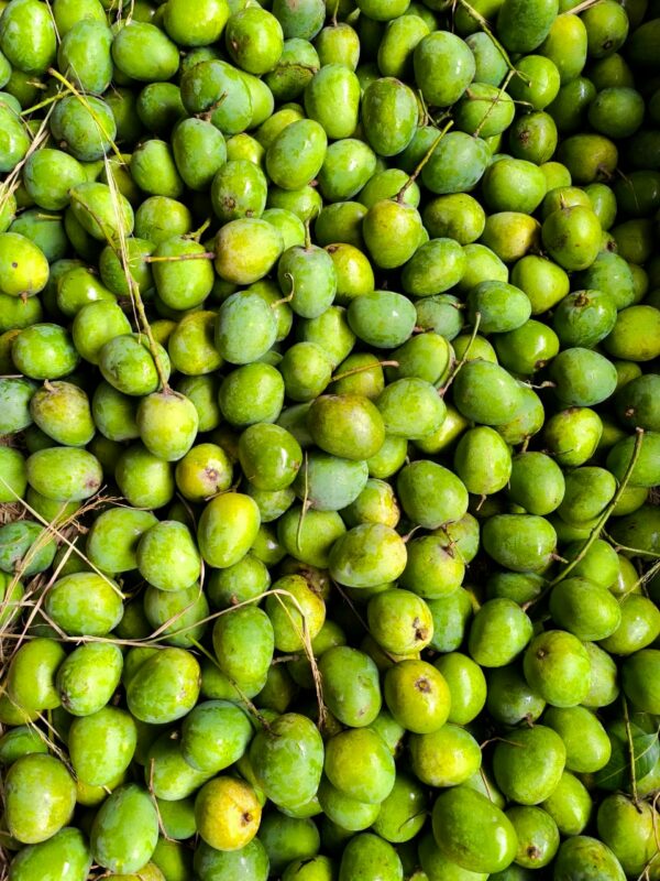 কাটিমন আম - Image 4